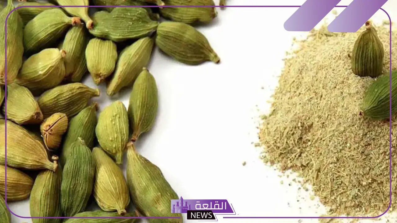 تفسير حلم الهيل ورمزه في المنام لكبار العلماء والمفسرين