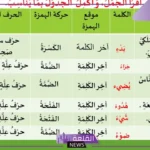 امثلة على الهمزة المتطرفة والمتوسطة في اللغة العربية