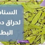 تجربتي مع السنامكي للتنحيف والتخلص من الدهون