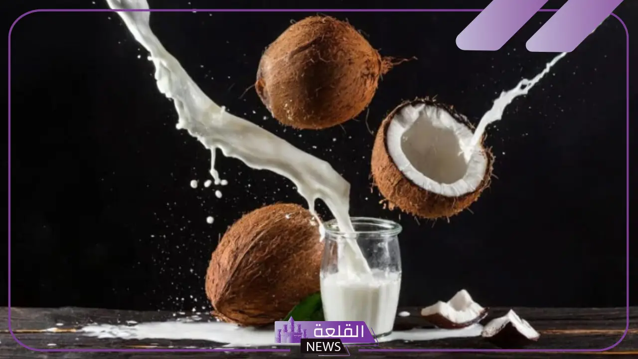 تجربتي مع شرب حليب جوز الهند بالفوائد 6 تجربتي مع شرب حليب جوز الهند والنتائج