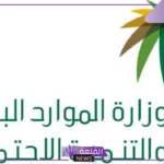 تعرف عليها.. أبرز تحديثات برنامج الضمان الاجتماعي في السعودية ومواعيد الصرف