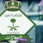 لتسهيل التنقل الدولي.. خدمة تمديد تأشيرات الخروج والعودة للمقيمين بشكل إلكتروني
