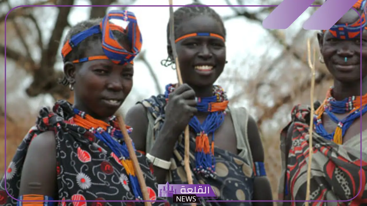 تعرف على قبائل السودان بالترتيب من الأقدم، عدد القبائل السودانية بعد الانفصال 5 عدد القبائل السودانية بعد الانفصال