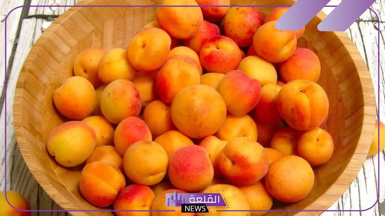 تفسير حلم اكل المشمش في المنام وعلاقته بالأحزان لابن سيرين 5 تفسير شجرة المشمش في المنام