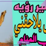 تفسير حلم الجمل يطاردني في المنام للعزباء لابن سيرين