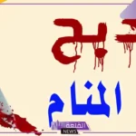 تفسير حلم الذبح بدون دم في المنام للرجل والعزباء والمتزوجة لابن سيرين 