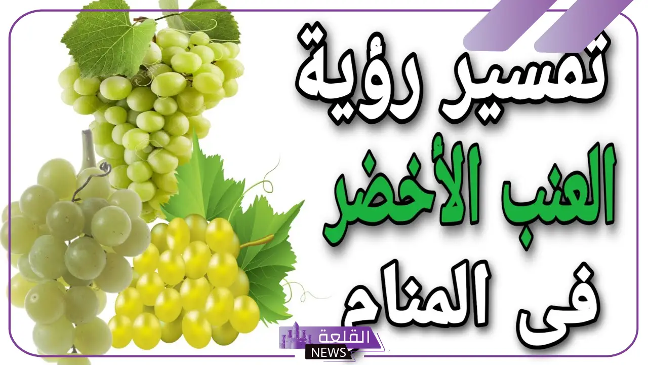 تفسير حلم العنب الاخضر في المنام ورمزه لابن سيرين 6 تفسير حلم العنب الاخضر في المنام ورمزه لابن سيرين