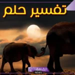 تفسير حلم الفيل في المنام ورؤيته لابن سيرين والنابلسي