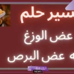 تفسير حلم الوزغ في البيت ورمزه في المنام لابن سيرين