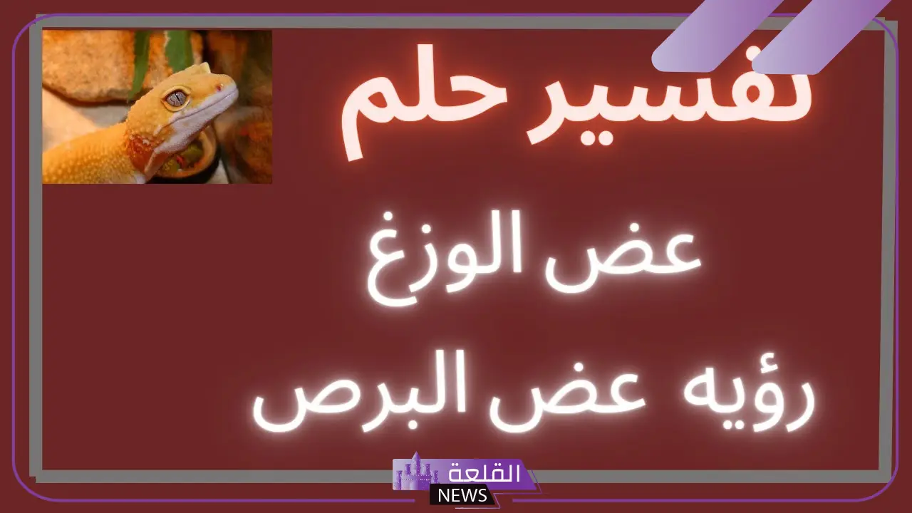 ماذا يعني الوزغ في الأحلام؟
