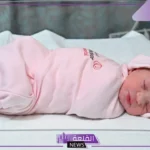 تفسير حلم تبني طفل في المنام للحامل والمتزوجة لابن سيرين