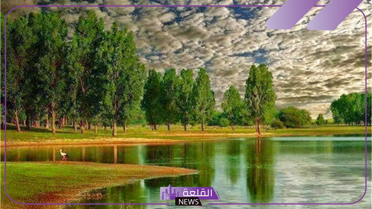 تفسير حلم دخول الجنة مع شخص قريب في المنام لابن سيرين 6 تفسير حلم دخول الجنة مع شخص للمتزوجة