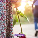 تفسير حلم وجودي في بيت طليقي مرة أخرى في المنام لابن سيرين