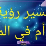 تفسير حلم ولادة توأم للمتزوجة والحامل في المنام لابن سيرين