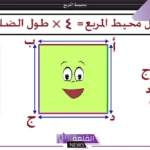قانون مساحة المربع وكيفية حساب المساحة في الهندسة