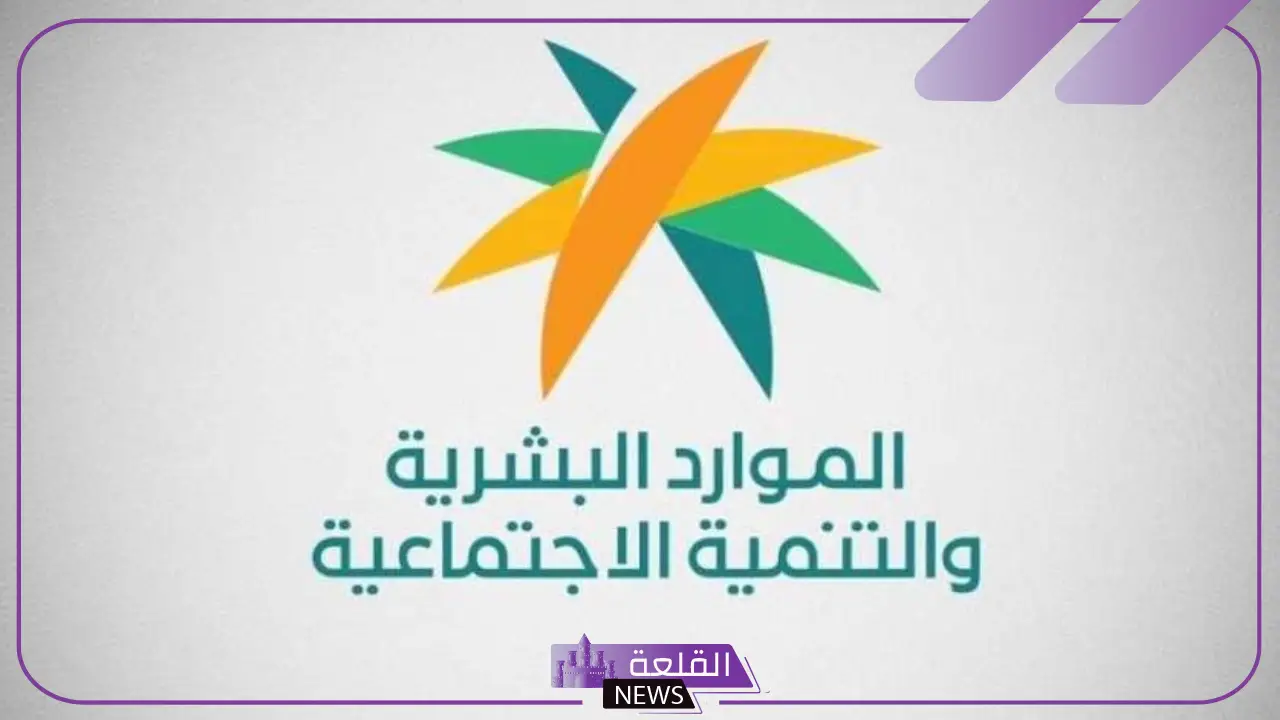تعرف على التكلفة.. السعودية تعلن عن عقود العمل الجديدة وحقوق الموظف كاملة