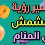 تفسير حلم اكل المشمش في المنام وعلاقته بالأحزان لابن سيرين 