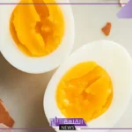 تفسير حلم البيض المسلوق في المنام ورمزه لابن سيرين