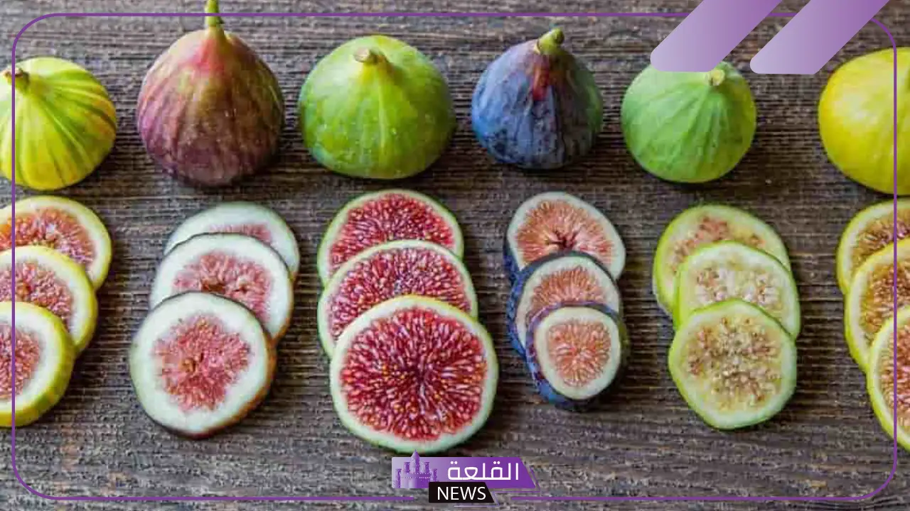تفسير حلم التين في المنام ورمزه للعزباء والمتزوجة لابن سيرين تفسير حلم التين في المنام ورمزه للعزباء والمتزوجة لابن سيرين