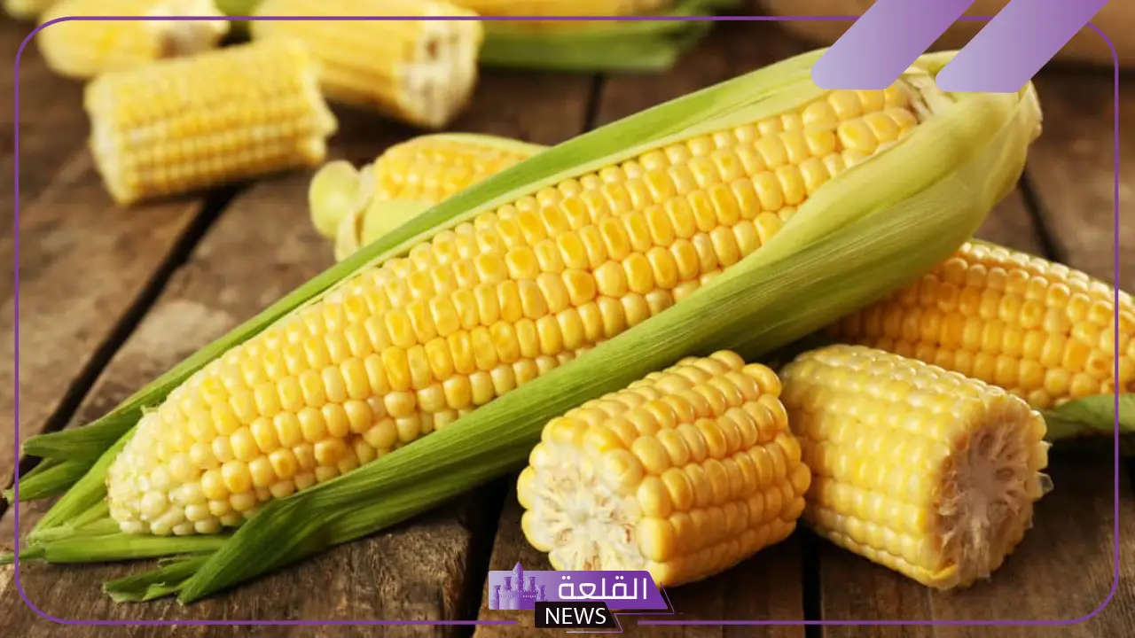 تفسير حلم الذرة في المنام وأكلها وفقاً لابن سيرين 