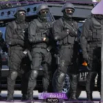 تفسير حلم الشرطة في المنام وعلاقتها بالتخلص من الصعاب لابن سيرين