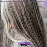 تفسير حلم الشعر الابيض في المنام للمرأة وظهور علامات الشيب لابن سيرين