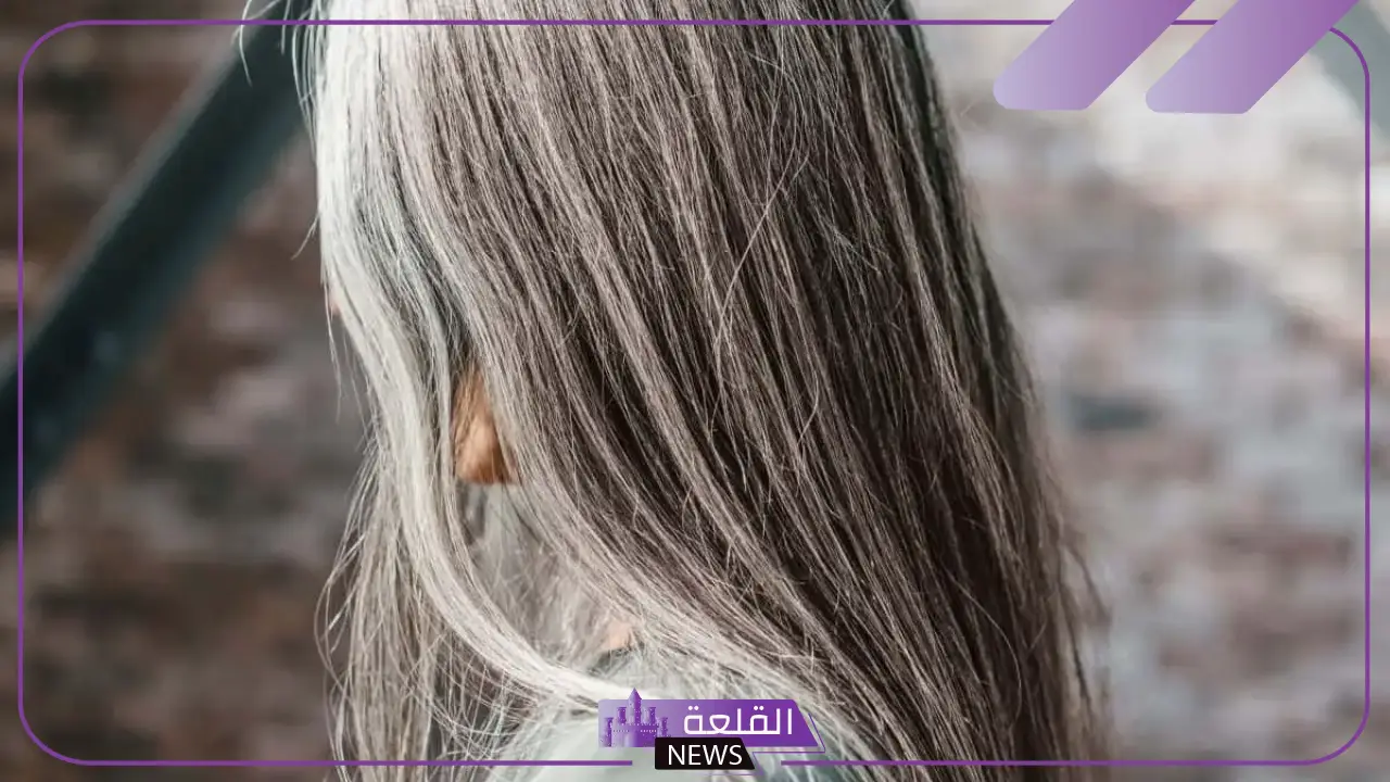 تفسير حلم الشعر الابيض في المنام للمرأة وظهور علامات الشيب لابن سيرين