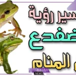 تفسير حلم الضفدع في البيت ورؤيته للعزباء والمتزوجة لابن سيرين