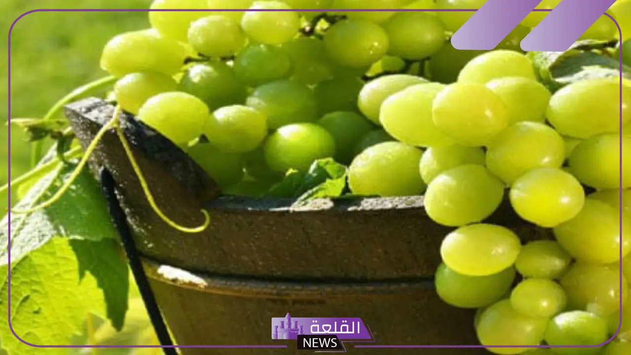 تفسير حلم العنب الاخضر في المنام ورمزه لابن سيرين 5 حلم العنب الاخضر في المنام للمتزوجة