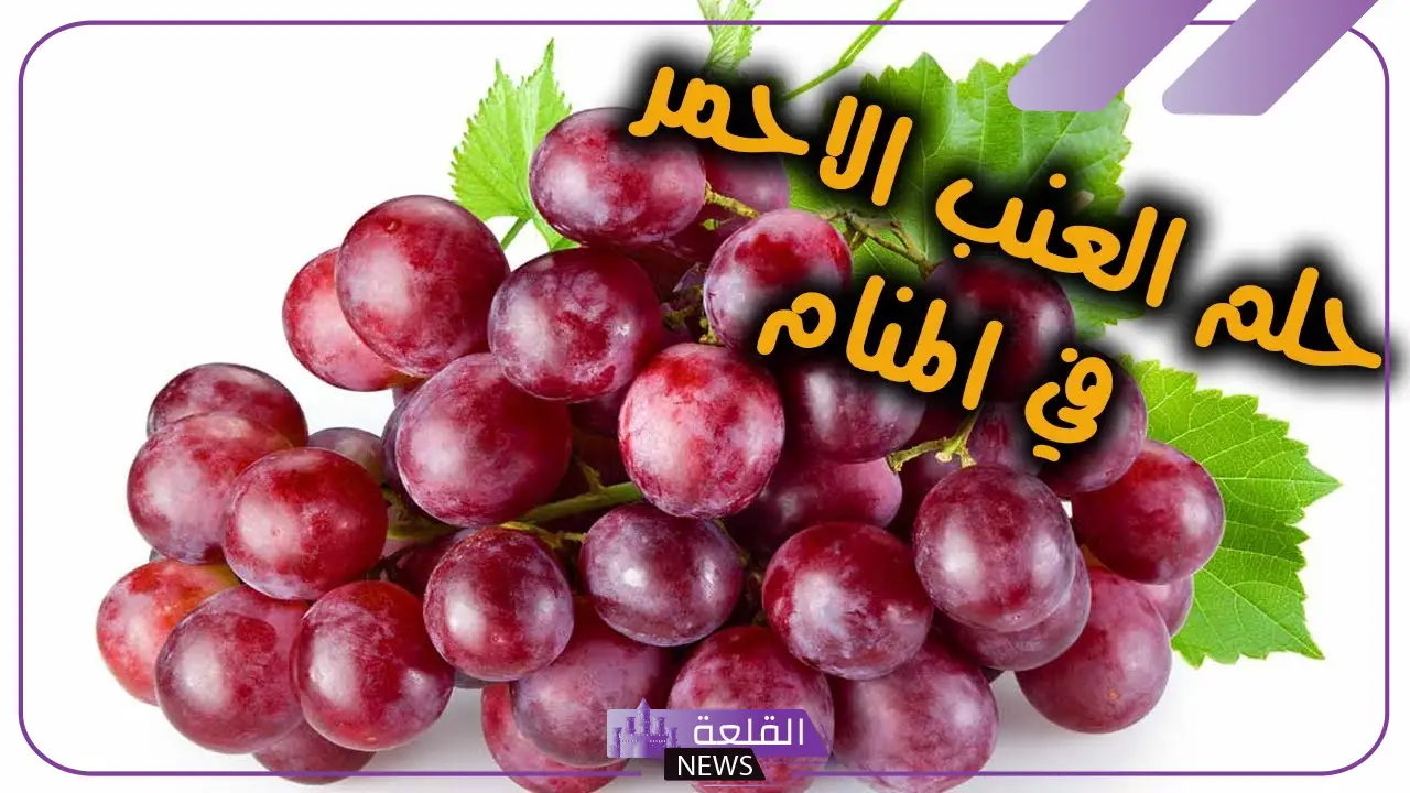 تفسير حلم العنب في المنام وألوانه لابن سيرين للعزباء 6 تفسير حلم العنب في المنام وألوانه لابن سيرين