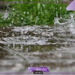 تفسير حلم رؤية المطر في المنام للمهموم لابن سيرين