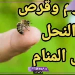 تفسير حلم رؤية النحل في المنام للعزباء ولدغته لابن سيرين