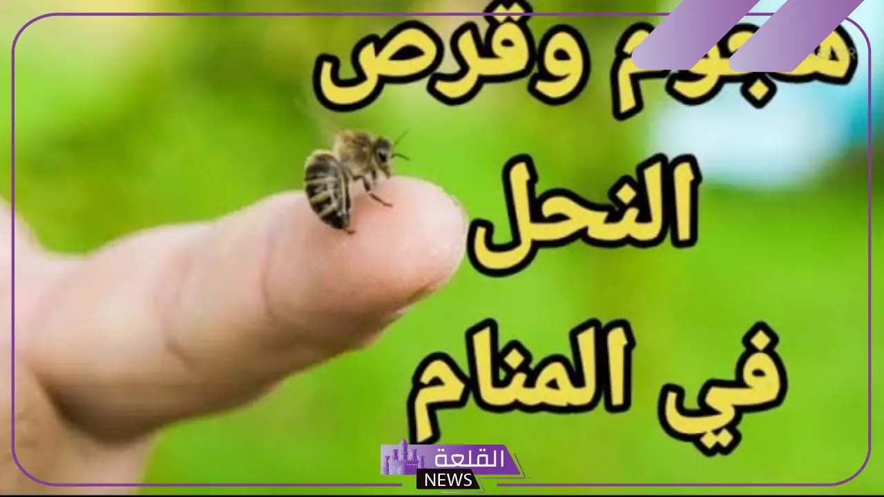 تفسير حلم رؤية النحل في المنام للعزباء ولدغته لابن سيرين