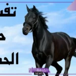 تفسير حلم رؤية حصان في المنام للمرأة والرجل لابن سيرين