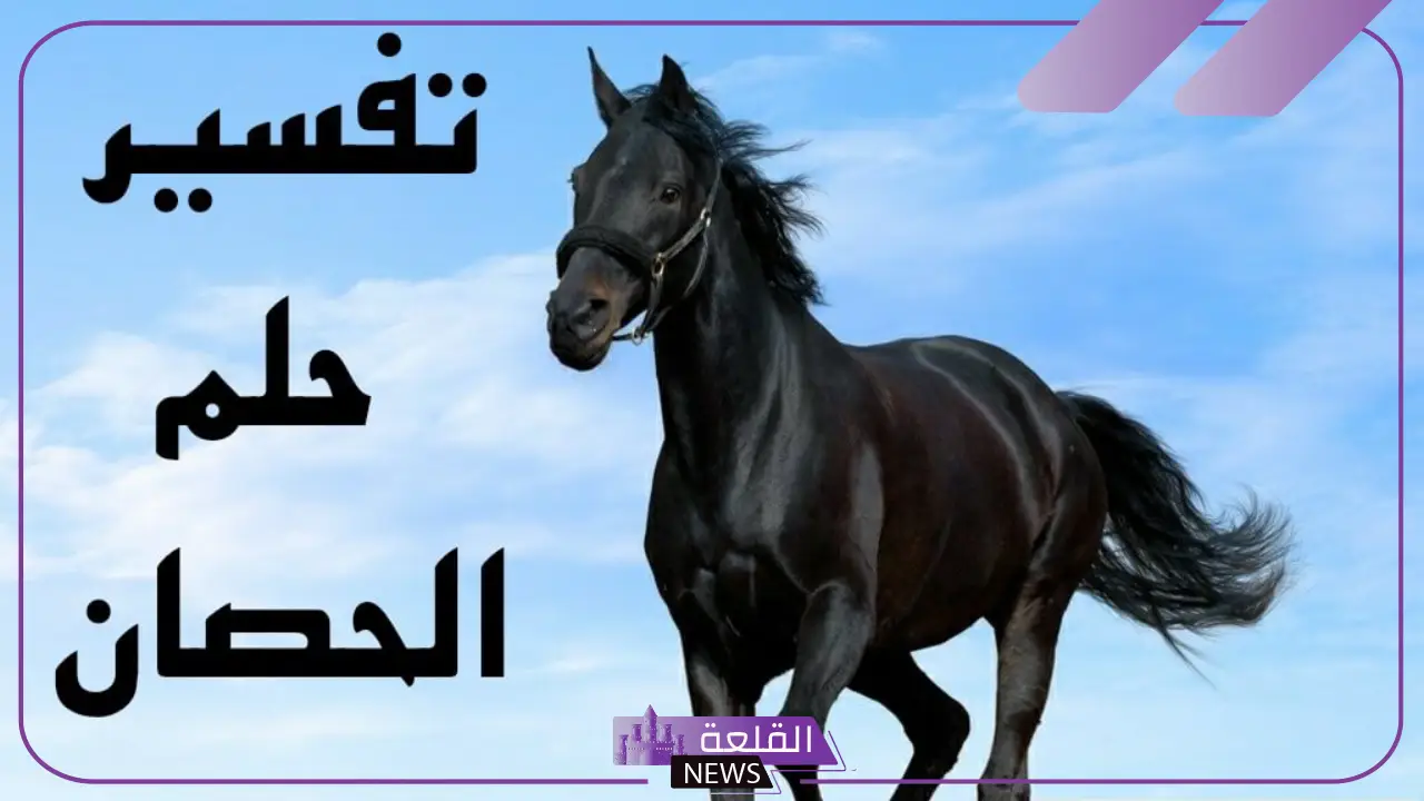 تفسير حلم رؤية حصان في المنام للمرأة والرجل لابن سيرين