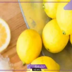 تفسير حلم شجرة ليمون اخضر في المنام لابن سيرين