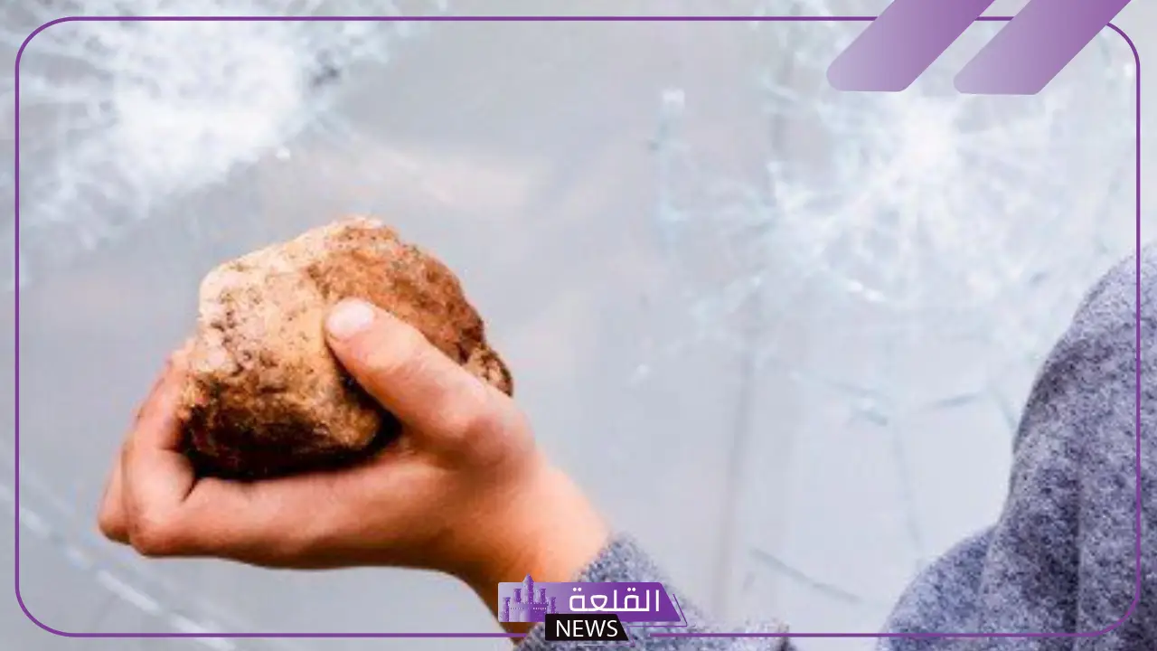 تفسير حلم شخص يرميني بالحجارة في المنام لابن سيرين 