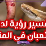 تفسير حلم عضة الثعبان في المنام للعزباء و للحامل و للمتزوجة لابن سيرين 