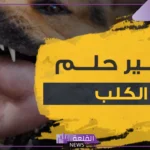تفسير حلم كلب يعضني في المنام للرجل لابن سيرين والنابلسي