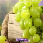 تفسير حلم اكل العنب الاخضر في المنام لكبار العلماء