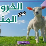 تفسير حلم رؤية راس الخروف في المنام للمرأة لابن سيرين