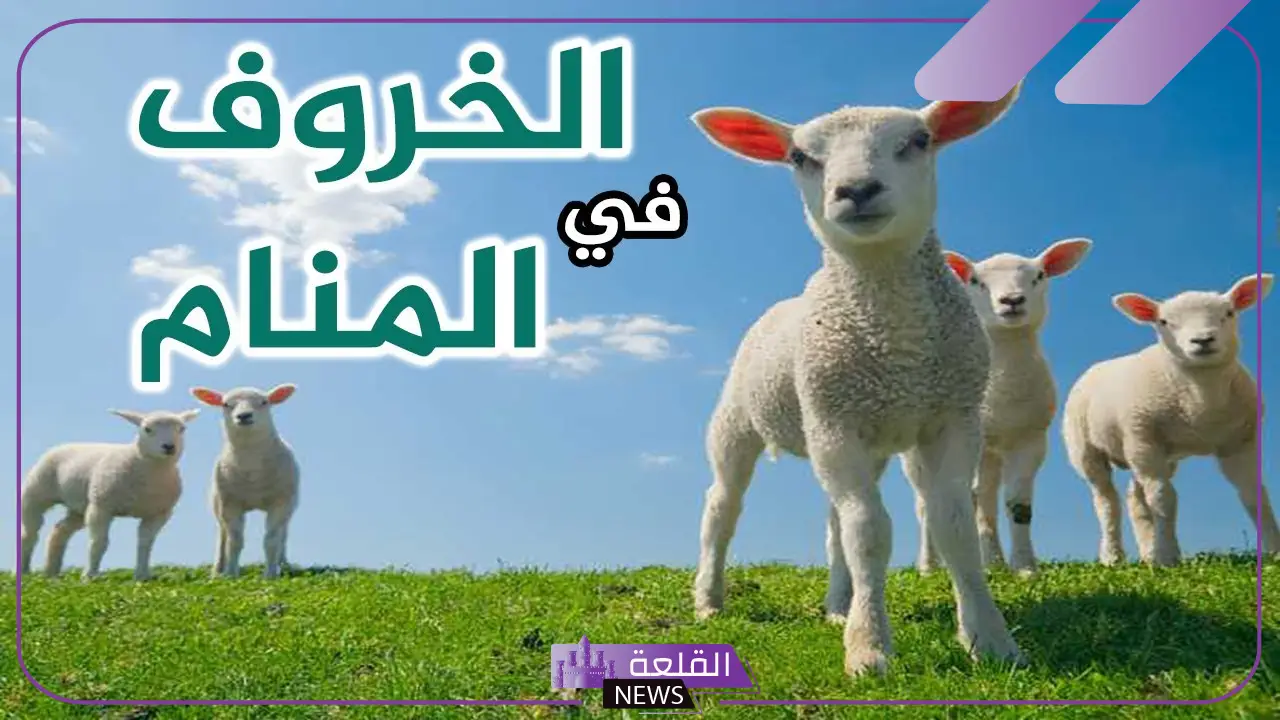 تفسير حلم رؤية راس الخروف في المنام للمرأة لابن سيرين