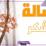 رسالة شكر لشخص قدم لك معروفا لي جميلة جدًا