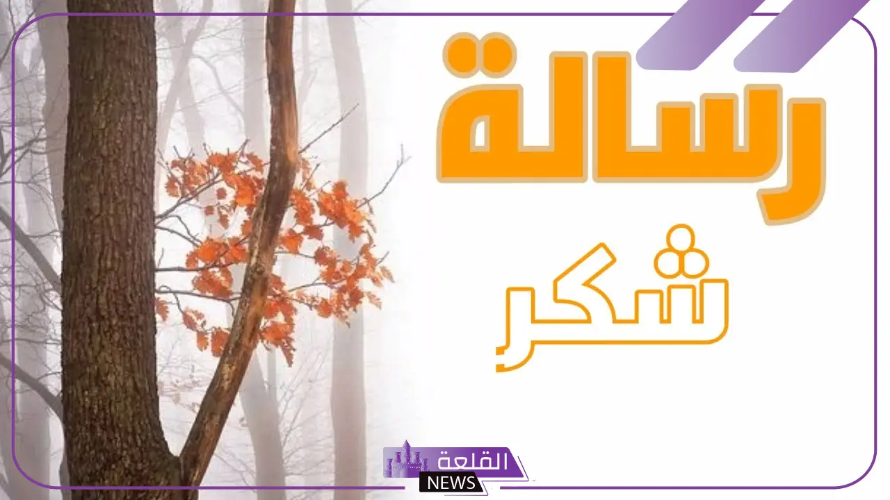 رسالة شكر لشخص قدم لك معروفا لي جميلة جدًا
