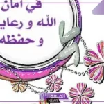 وش الرد على في امان الله؟ الرد على في حفظ الله