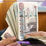 بعد رفع الحد الأدنى للأجور.. اعرف موعد تطبيق الزيادة الجديدة وحساب الراتب