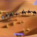 شجرة قبيلة زهران بالفروع، رمز قبيلة زهران وأصلها وش يرجع