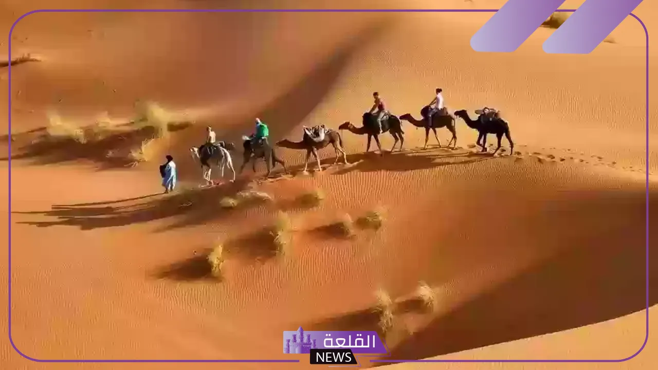 شجرة قبيلة زهران بالفروع، رمز قبيلة زهران وأصلها وش يرجع