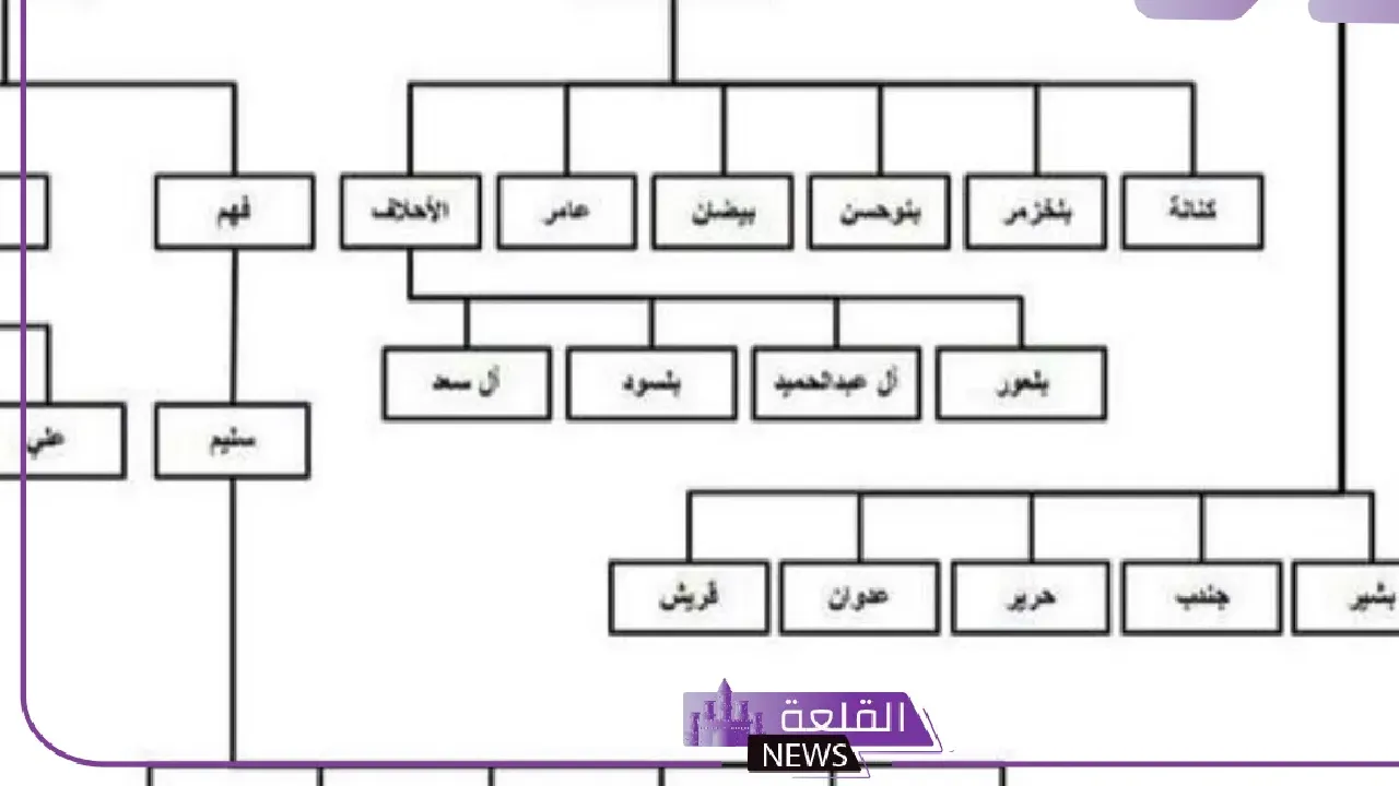 شجرة قبيلة زهران بالفروع، رمز قبيلة زهران وأصلها وش يرجع شجرة قبيلة زهران بالفروع، رمز قبيلة زهران وأصلها وش يرجع