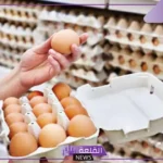 مليارات.. تقرير يوضح ما ينفعه سكان المملكة على شراء البيض فقط